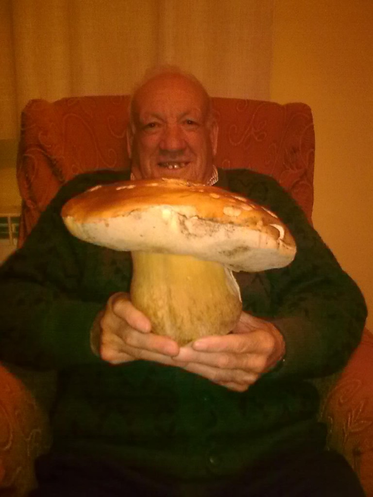 Super hongo 2'200 Kg
